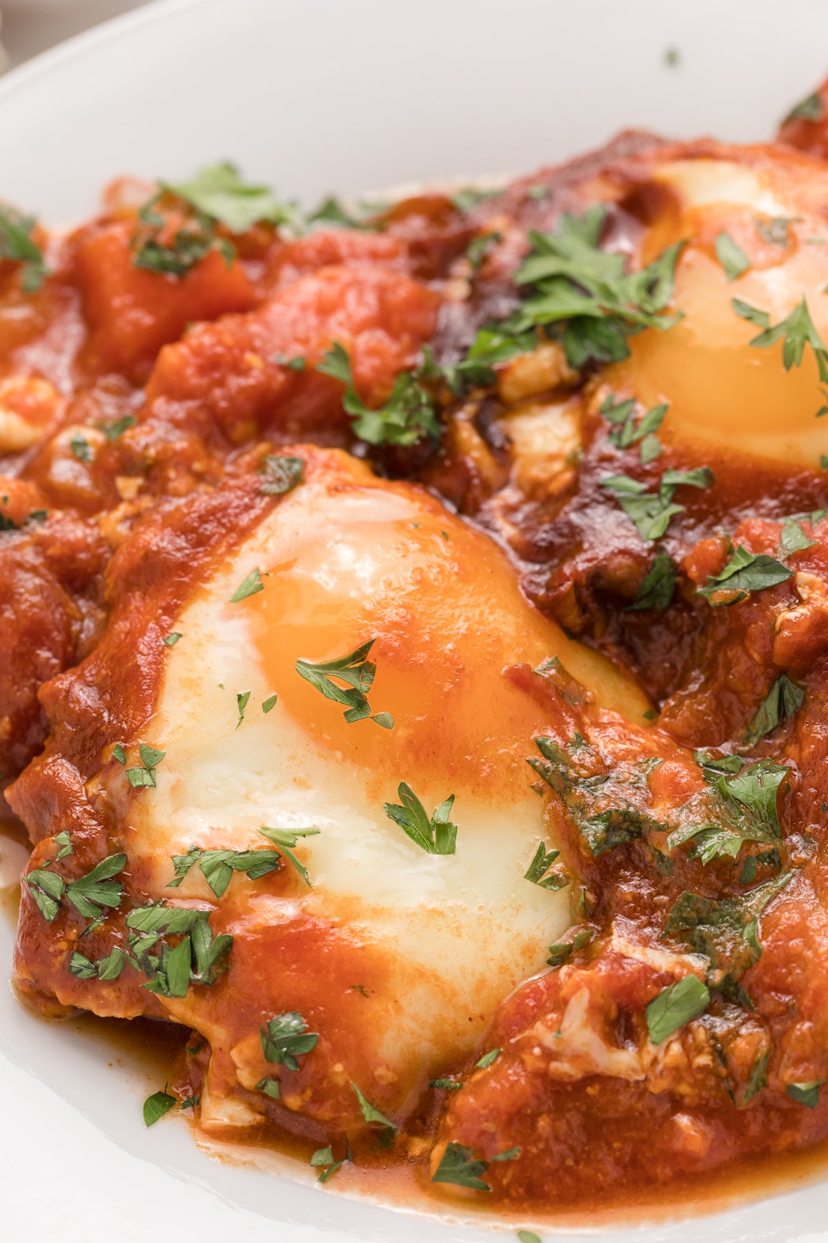 Shakshuka Exclusive