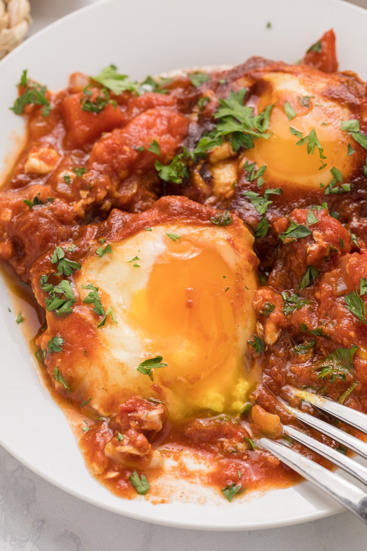 Shakshuka Exclusive