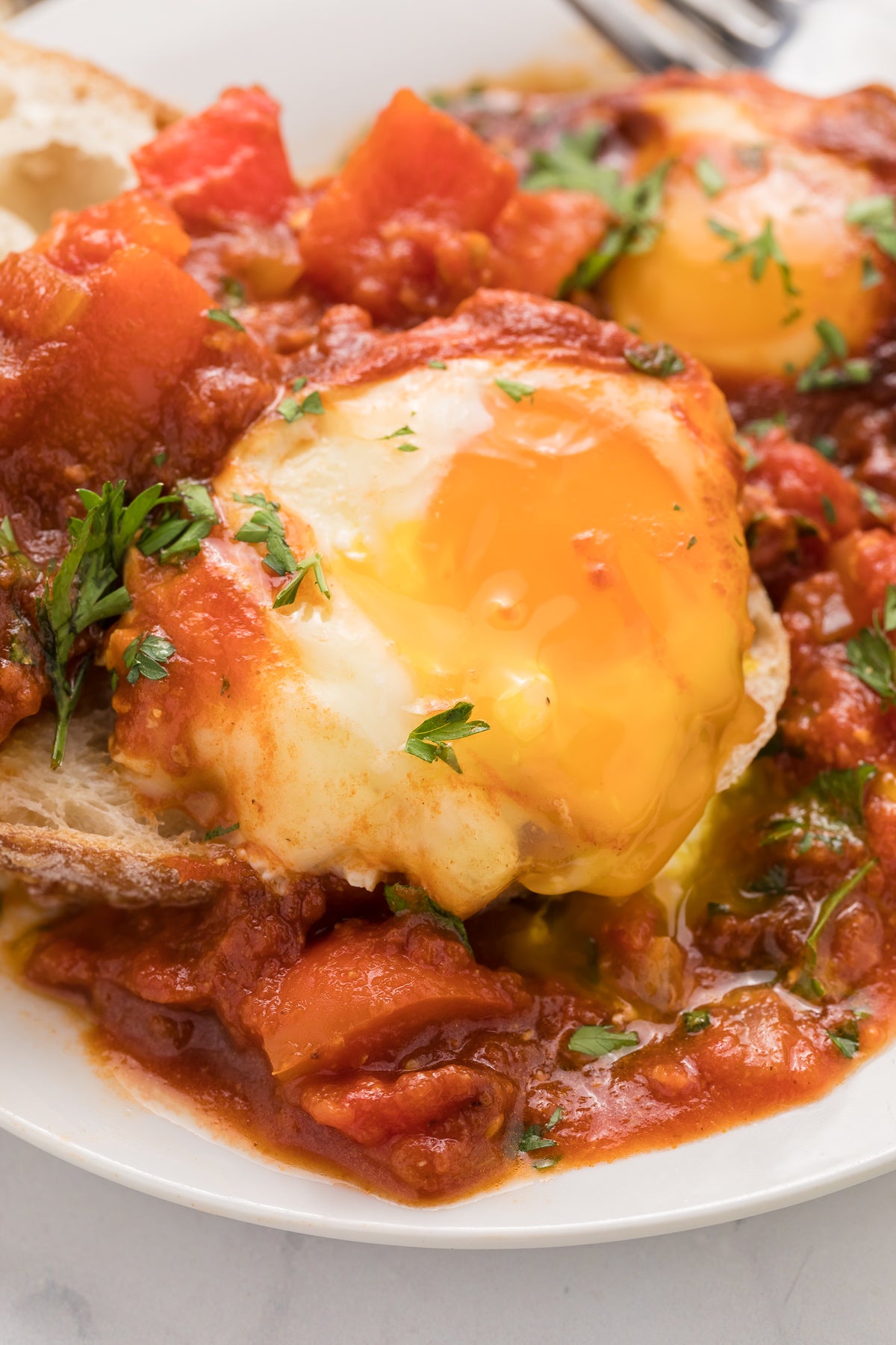 Shakshuka Exclusive