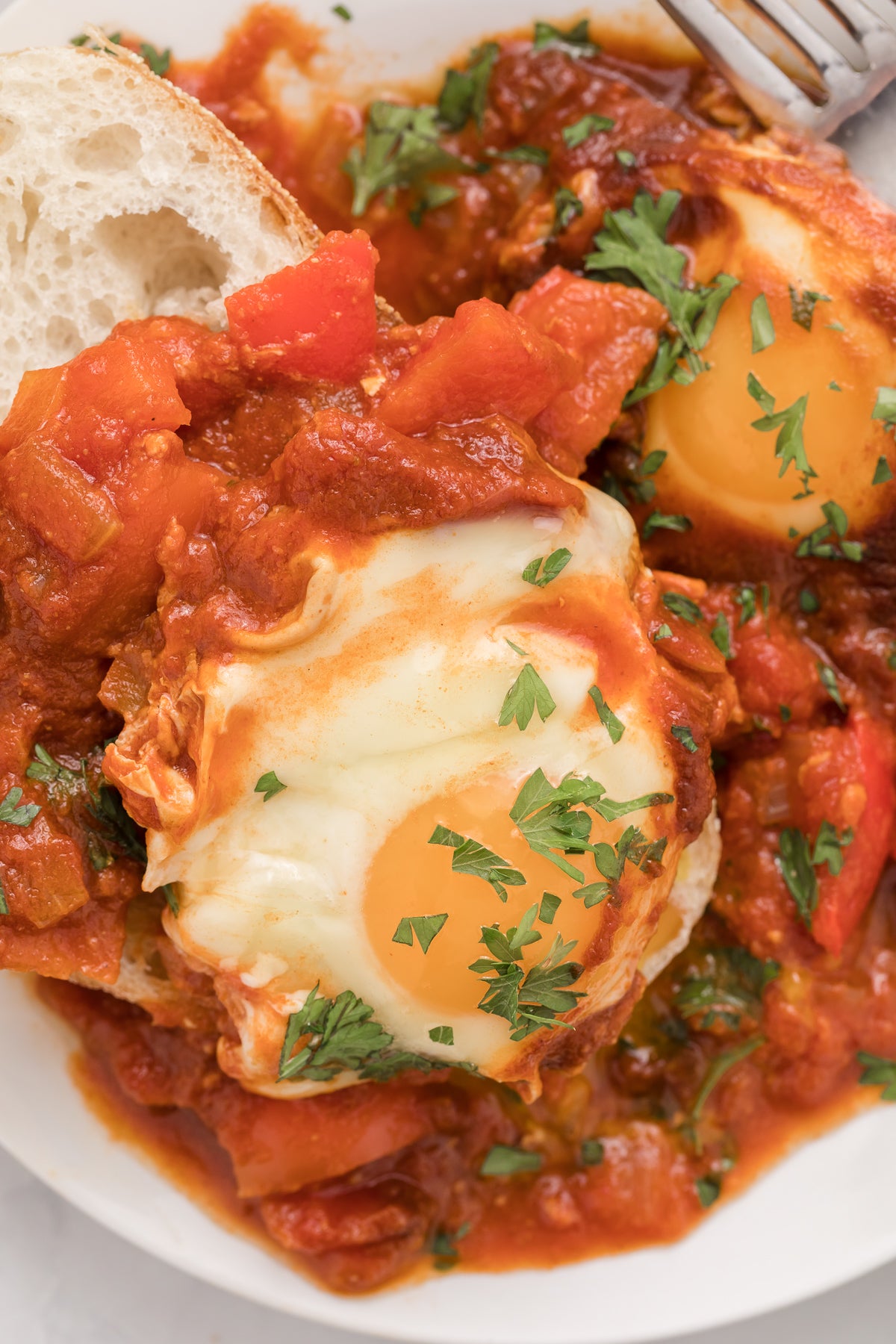 Shakshuka Exclusive
