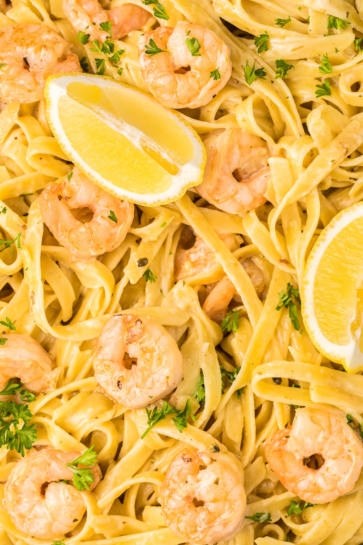 Shrimp Fettuccine Alfredo Exclusive