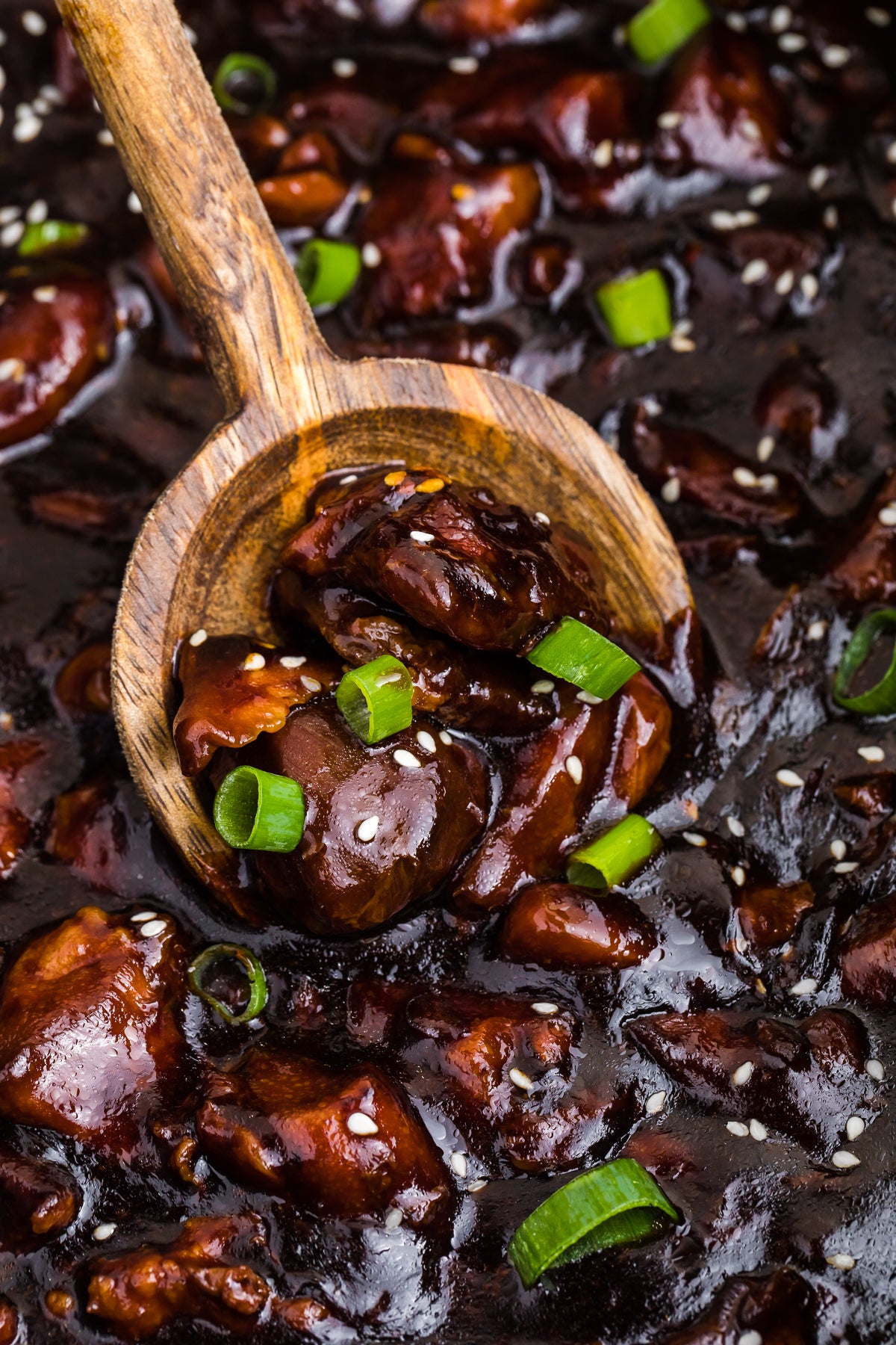 Slow Cooker Honey Soy Chicken Exclusive