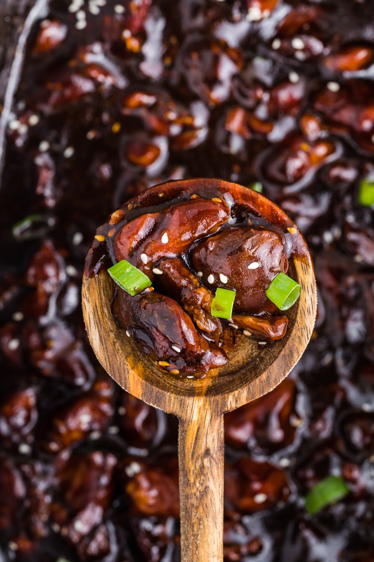 Slow Cooker Honey Soy Chicken Exclusive
