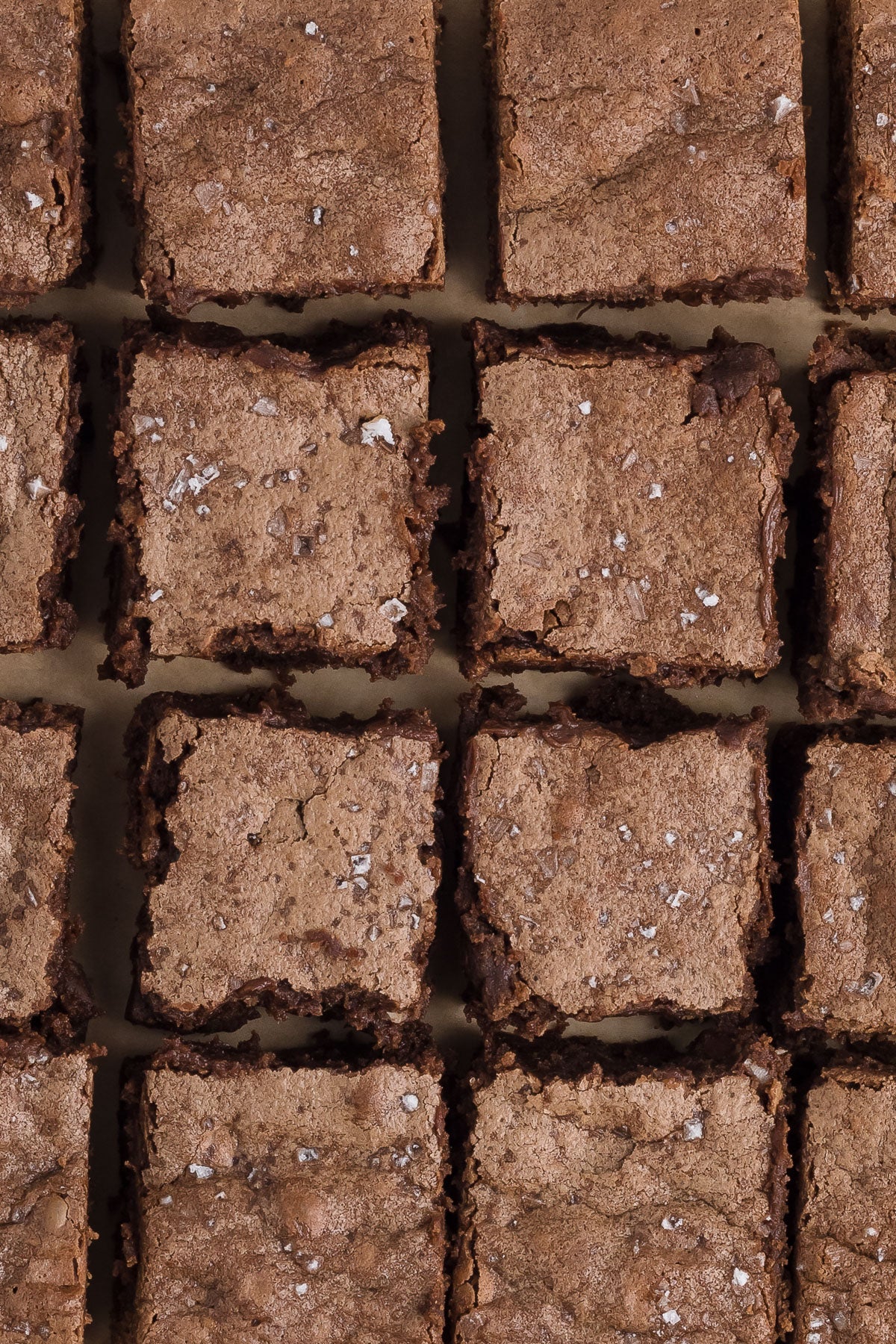 Sourdough Discard Brownies Exclusive