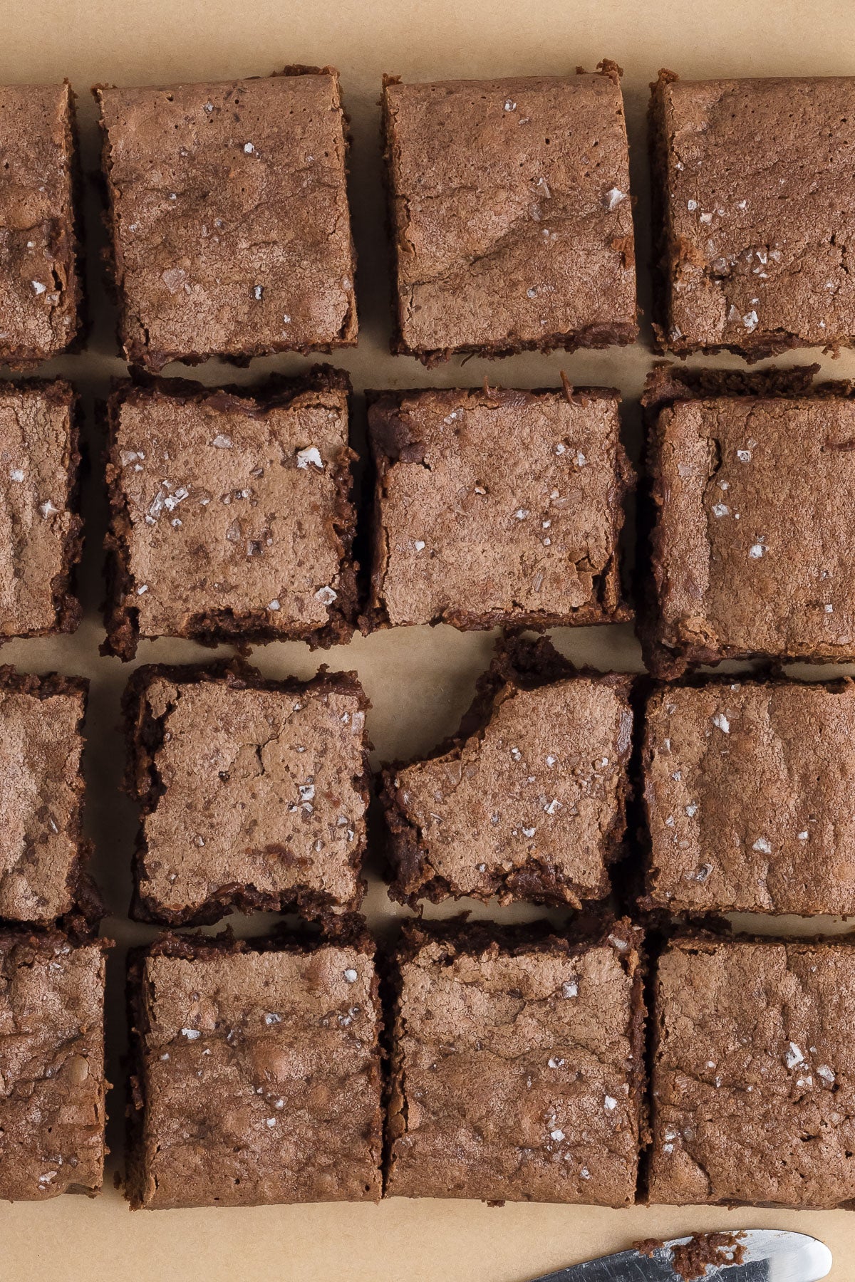 Sourdough Discard Brownies Exclusive