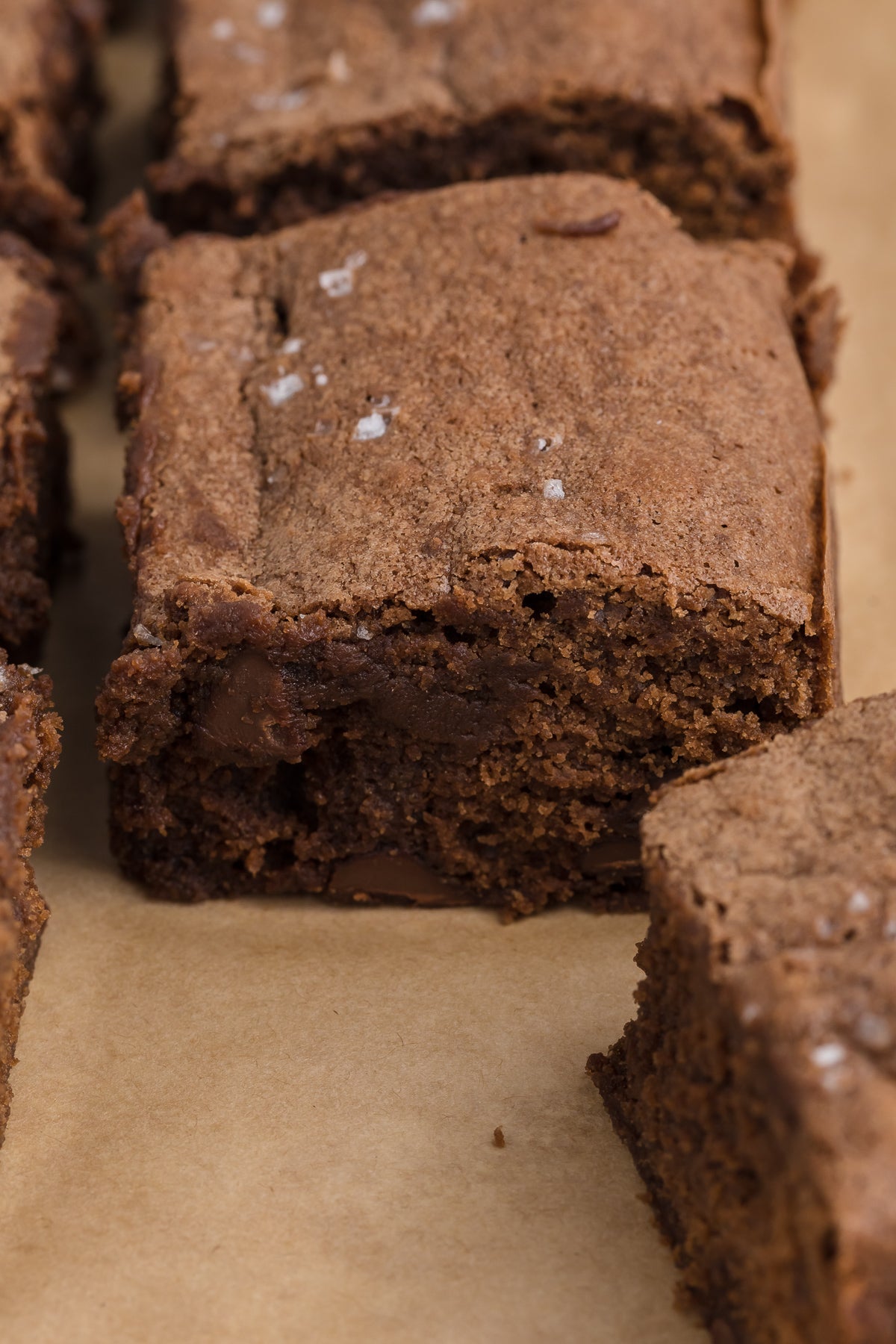 Sourdough Discard Brownies Exclusive