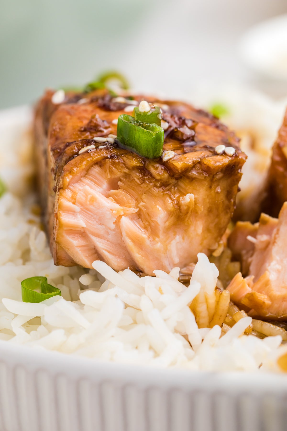 Teriyaki Salmon Exclusive