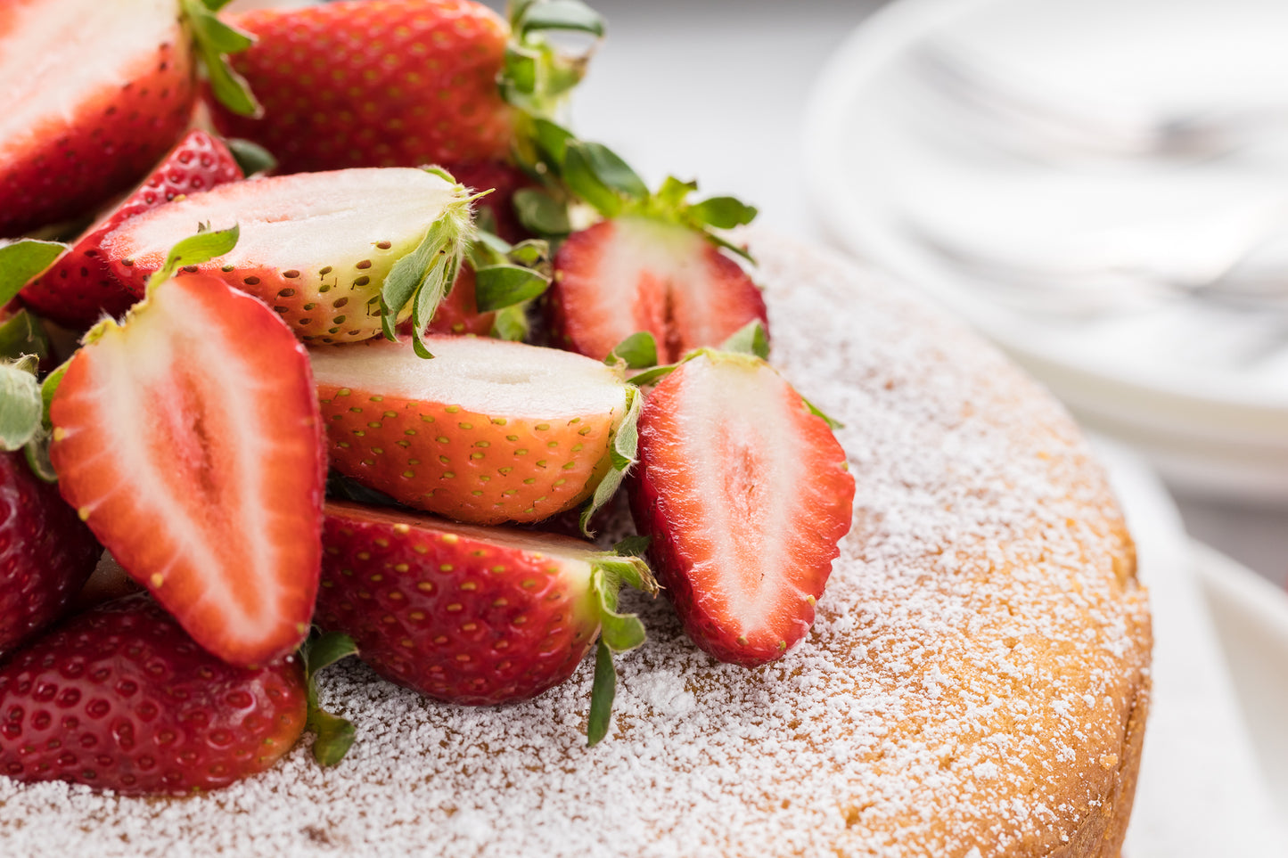 Victoria Sandwich Exclusive