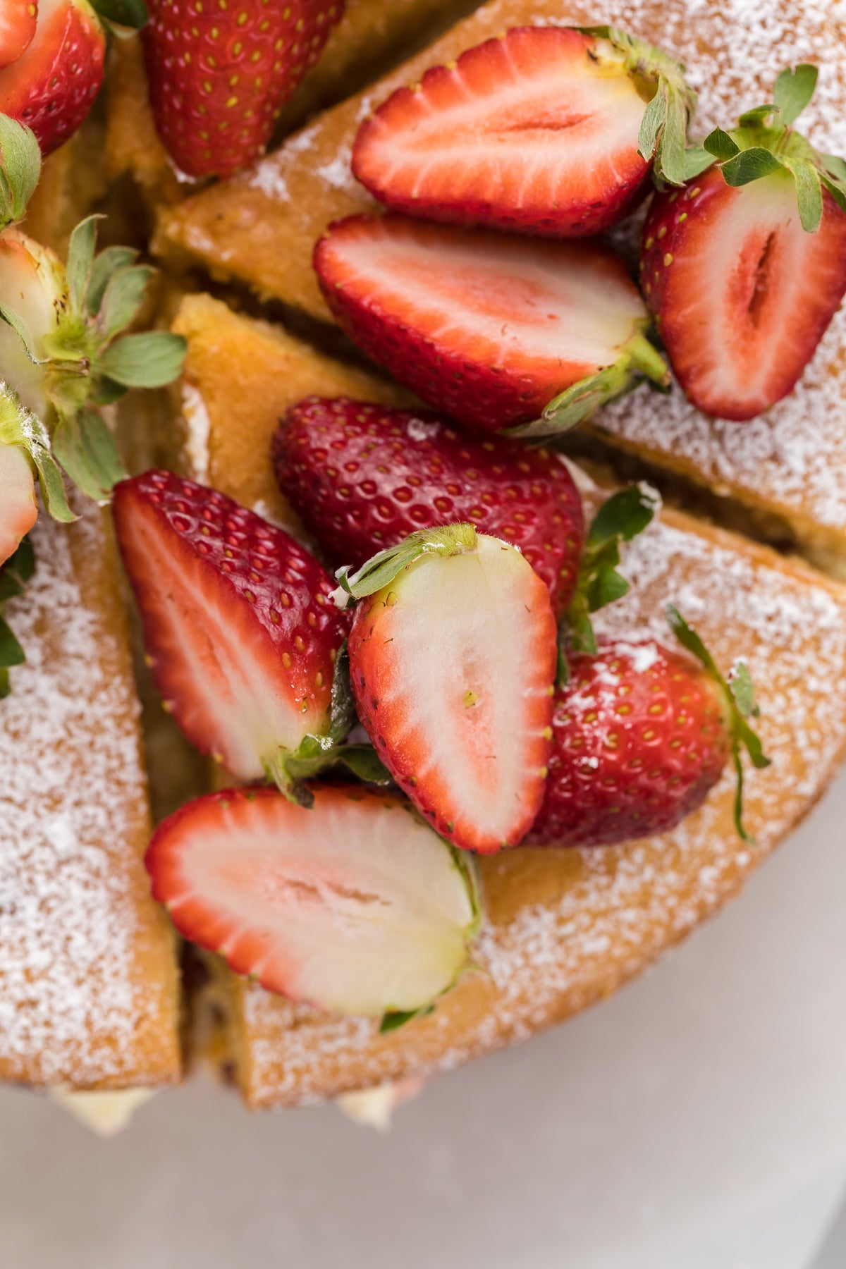 Victoria Sandwich Exclusive