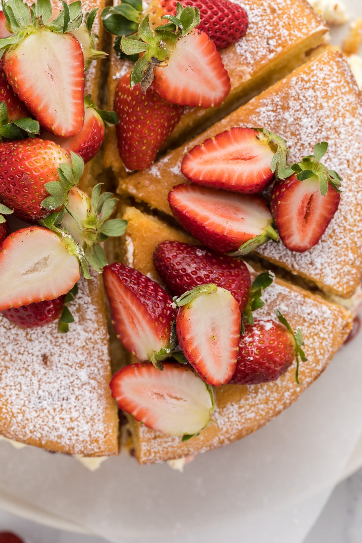 Victoria Sandwich Exclusive