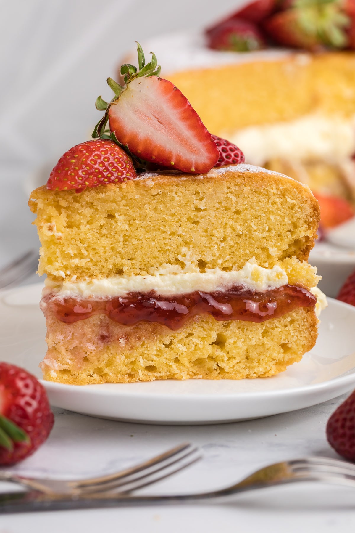 Victoria Sandwich Exclusive