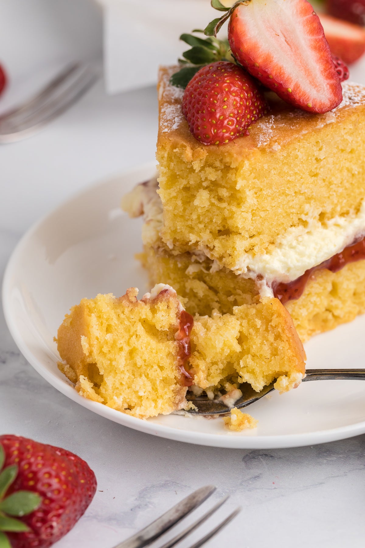 Victoria Sandwich Exclusive
