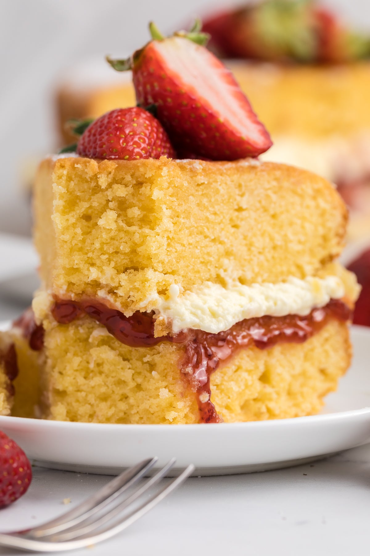 Victoria Sandwich Exclusive